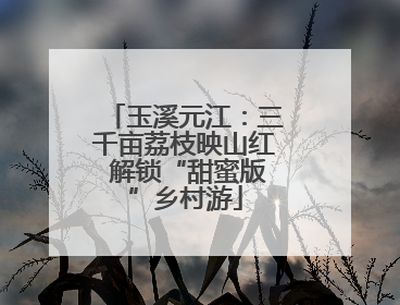 玉溪元江：三千亩荔枝映山红 解锁“甜蜜版”乡村游