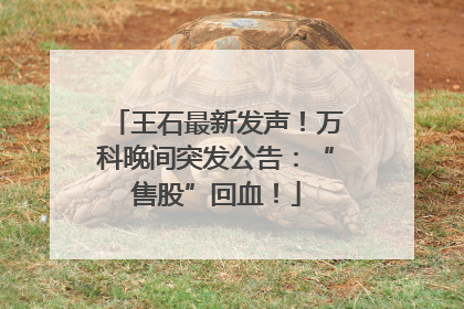 王石最新发声！万科晚间突发公告：“售股”回血！