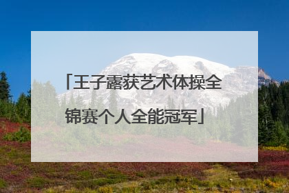王子露获艺术体操全锦赛个人全能冠军