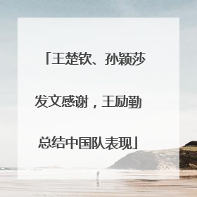 王楚钦、孙颖莎发文感谢，王励勤总结中国队表现