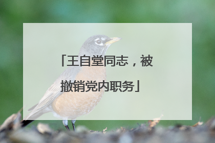 王自堂同志，被撤销党内职务