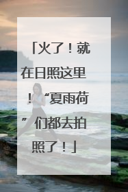 火了！就在日照这里！“夏雨荷”们都去拍照了！