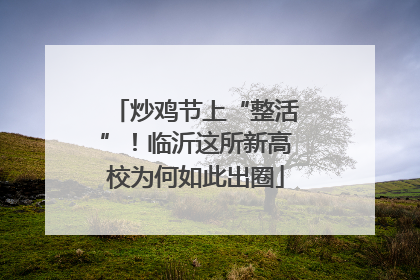 炒鸡节上“整活”！临沂这所新高校为何如此出圈