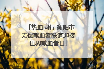 热血同行 衡阳市无偿献血者联谊迎接世界献血者日