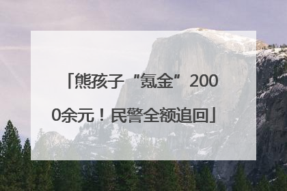 熊孩子“氪金”2000余元！民警全额追回