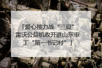 爱心接力战“三夏” 雷沃公益机收开进山东重工“第一书记村”