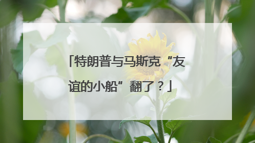 特朗普与马斯克“友谊的小船”翻了？