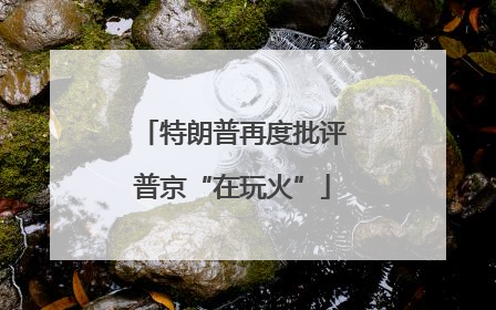 特朗普再度批评普京“在玩火”