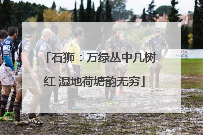 石狮：万绿丛中几树红 湿地荷塘韵无穷