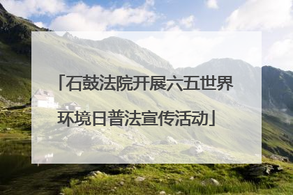 石鼓法院开展六五世界环境日普法宣传活动