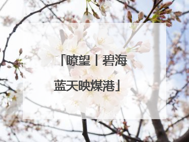 瞭望丨碧海蓝天映煤港
