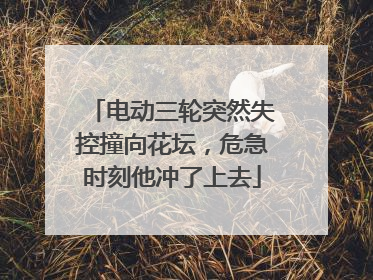 电动三轮突然失控撞向花坛，危急时刻他冲了上去