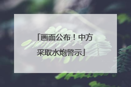 画面公布！中方采取水炮警示