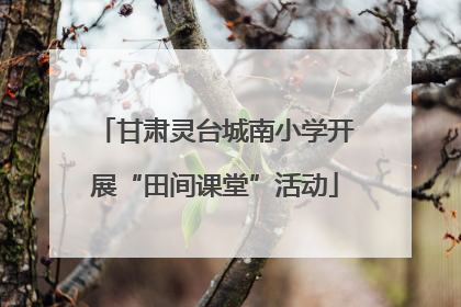 甘肃灵台城南小学开展“田间课堂”活动