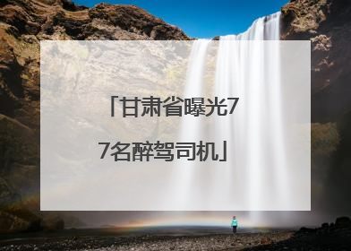 甘肃省曝光77名醉驾司机