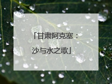 甘肃阿克塞：沙与水之歌