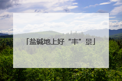 盐碱地上好“丰”景