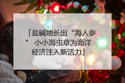 盐碱地长出“海人参” 小小海虫草为海洋经济注入新活力