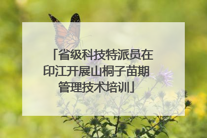 省级科技特派员在印江开展山桐子苗期管理技术培训