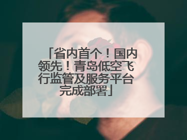 省内首个！国内领先！青岛低空飞行监管及服务平台完成部署