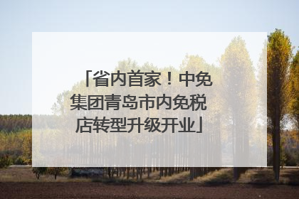 省内首家！中免集团青岛市内免税店转型升级开业