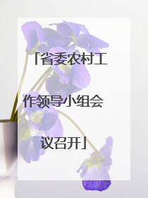 省委农村工作领导小组会议召开