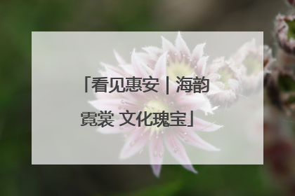 看见惠安｜海韵霓裳 文化瑰宝
