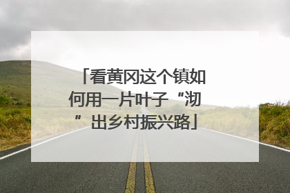 看黄冈这个镇如何用一片叶子“沏”出乡村振兴路
