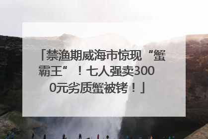 禁渔期威海市惊现“蟹霸王”！七人强卖3000元劣质蟹被铐！