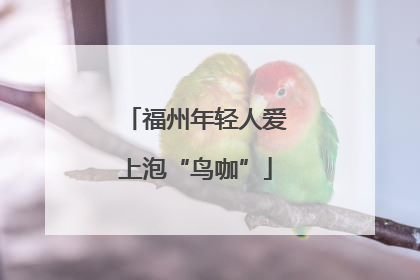 福州年轻人爱上泡“鸟咖”