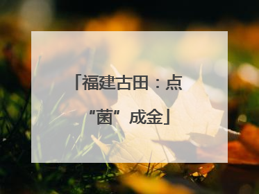 福建古田：点“菌”成金