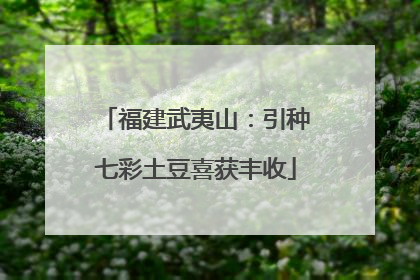 福建武夷山：引种七彩土豆喜获丰收