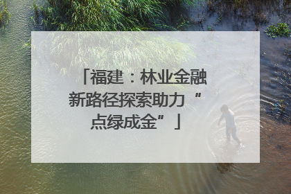 福建：林业金融新路径探索助力“点绿成金”