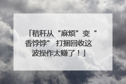 秸秆从“麻烦”变“香饽饽” 打捆回收这波操作太赚了！
