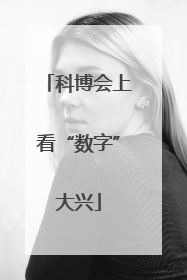 科博会上看“数字”大兴