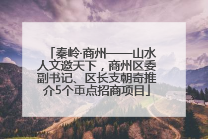 秦岭·商州——山水人文邀天下，商州区委副书记、区长支朝奇推介5个重点招商项目