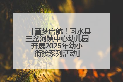 童梦启航！习水县三岔河镇中心幼儿园开展2025年幼小衔接系列活动