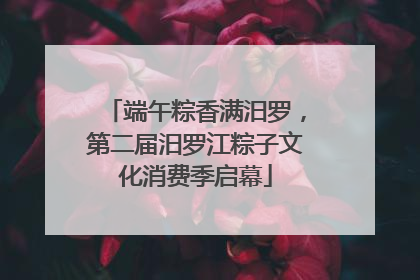 端午粽香满汨罗，第二届汨罗江粽子文化消费季启幕