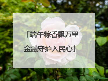 端午粽香飘万里 金融守护入民心