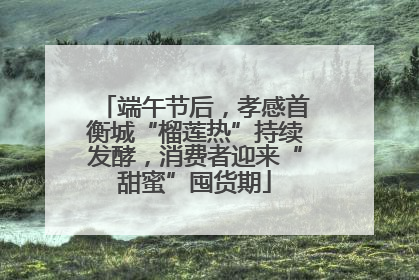 端午节后，孝感首衡城“榴莲热”持续发酵，消费者迎来“甜蜜”囤货期