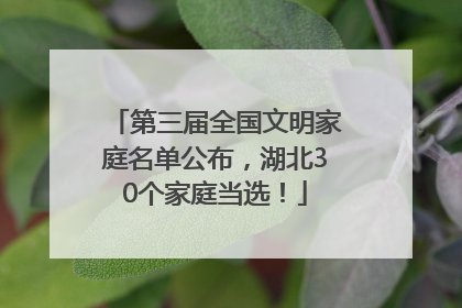 第三届全国文明家庭名单公布，湖北30个家庭当选！