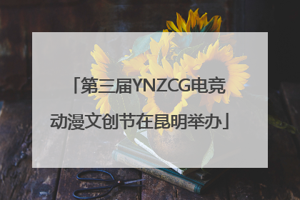 第三届YNZCG电竞动漫文创节在昆明举办