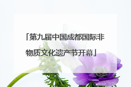 第九届中国成都国际非物质文化遗产节开幕