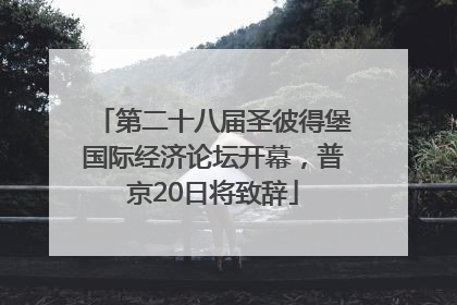 第二十八届圣彼得堡国际经济论坛开幕，普京20日将致辞