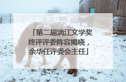 第二届漓江文学奖终评评委阵容揭晓，余华任评委会主任