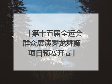 第十五届全运会群众展演舞龙舞狮项目预赛开赛