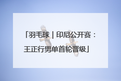 羽毛球｜印尼公开赛：王正行男单首轮晋级
