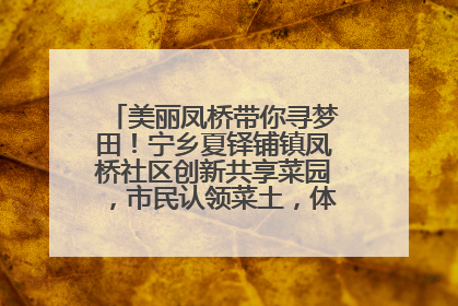 美丽凤桥带你寻梦田！宁乡夏铎铺镇凤桥社区创新共享菜园，市民认领菜土，体验耕种收获乐趣