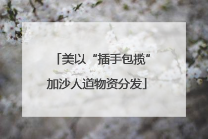 美以“插手包揽”加沙人道物资分发