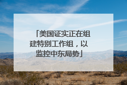 美国证实正在组建特别工作组，以监控中东局势